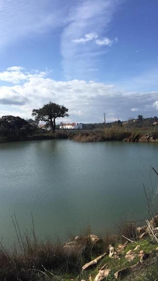 Herdade Da Maridona - Agroturismo Estremoz Exterior foto